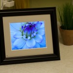 Picture Viewer