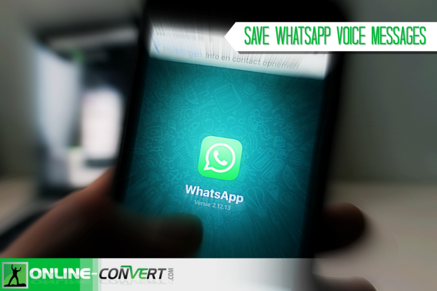 How To Save WhatsApp Voice Messages | Online file ...