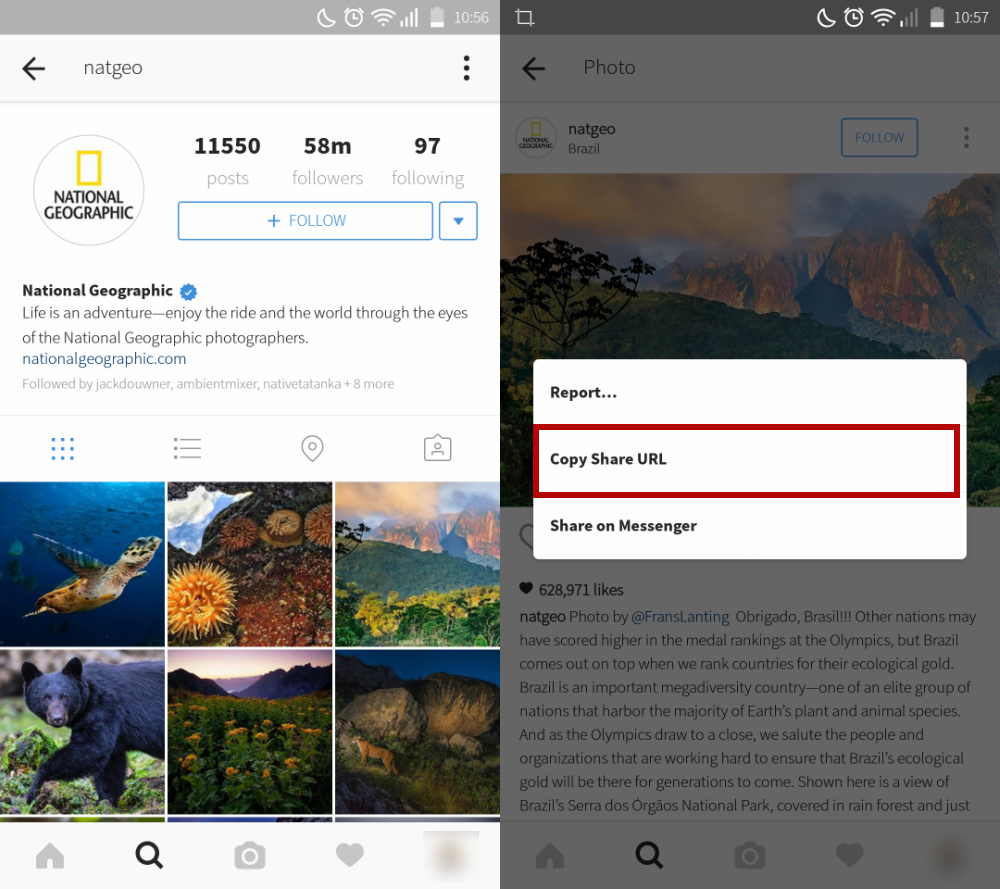 instagram photo converter