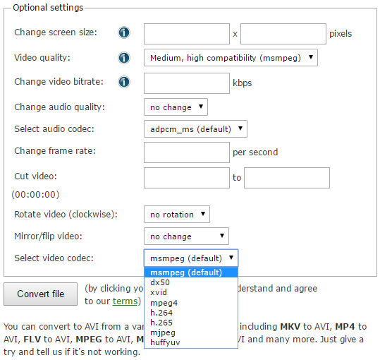 what video codec should i use