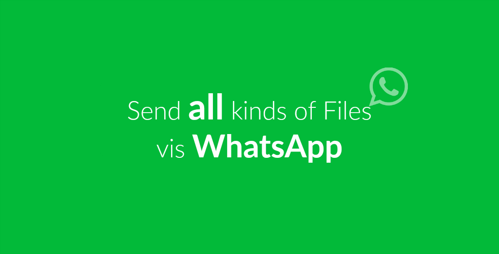 WhatsApp All Files