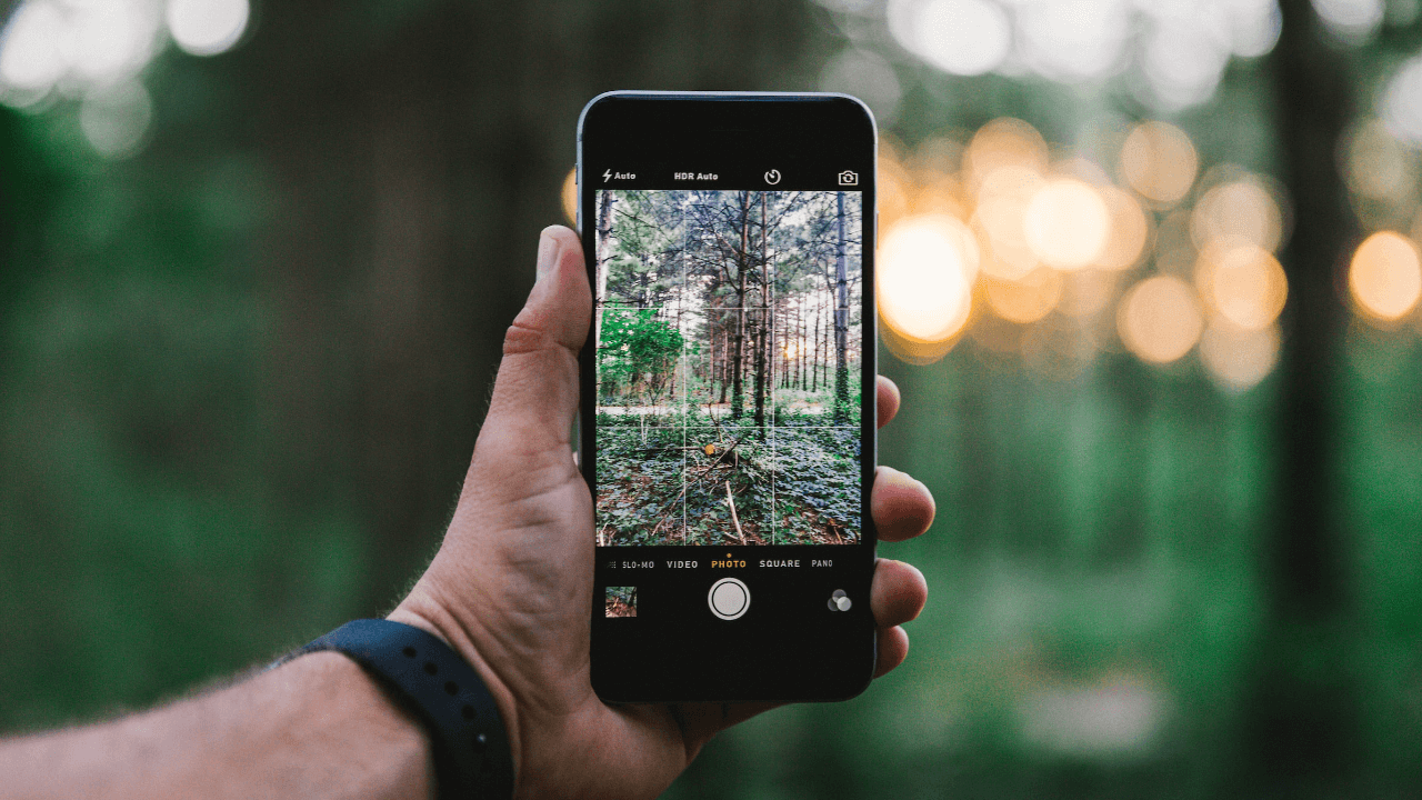 A man holds up the iPhone's Photos App to take a picture of the forest.