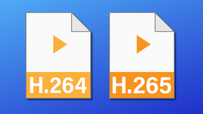 Video Codecs: H.264 and H.265